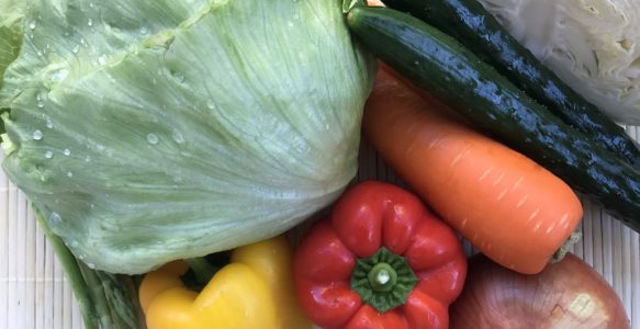 ツーリング先で見つける！日本各地の地産地消ヴィーガン食材